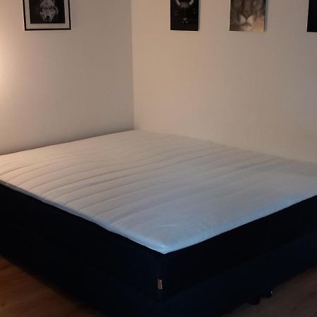 Apartman Kurt Mariánské Lázně المظهر الخارجي الصورة