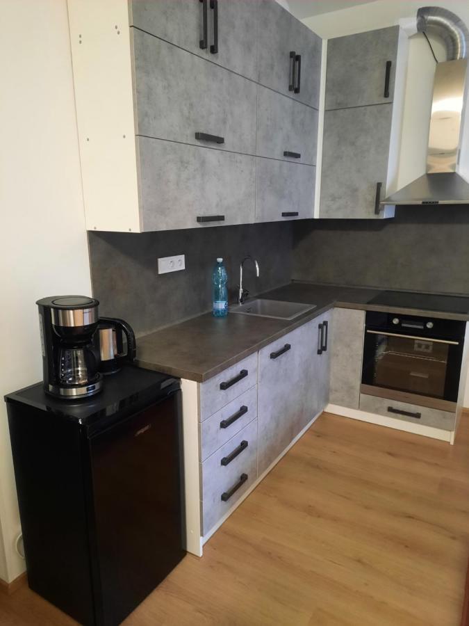 Apartman Kurt Mariánské Lázně المظهر الخارجي الصورة