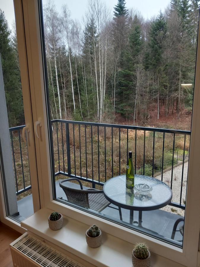 Apartman Kurt Mariánské Lázně المظهر الخارجي الصورة