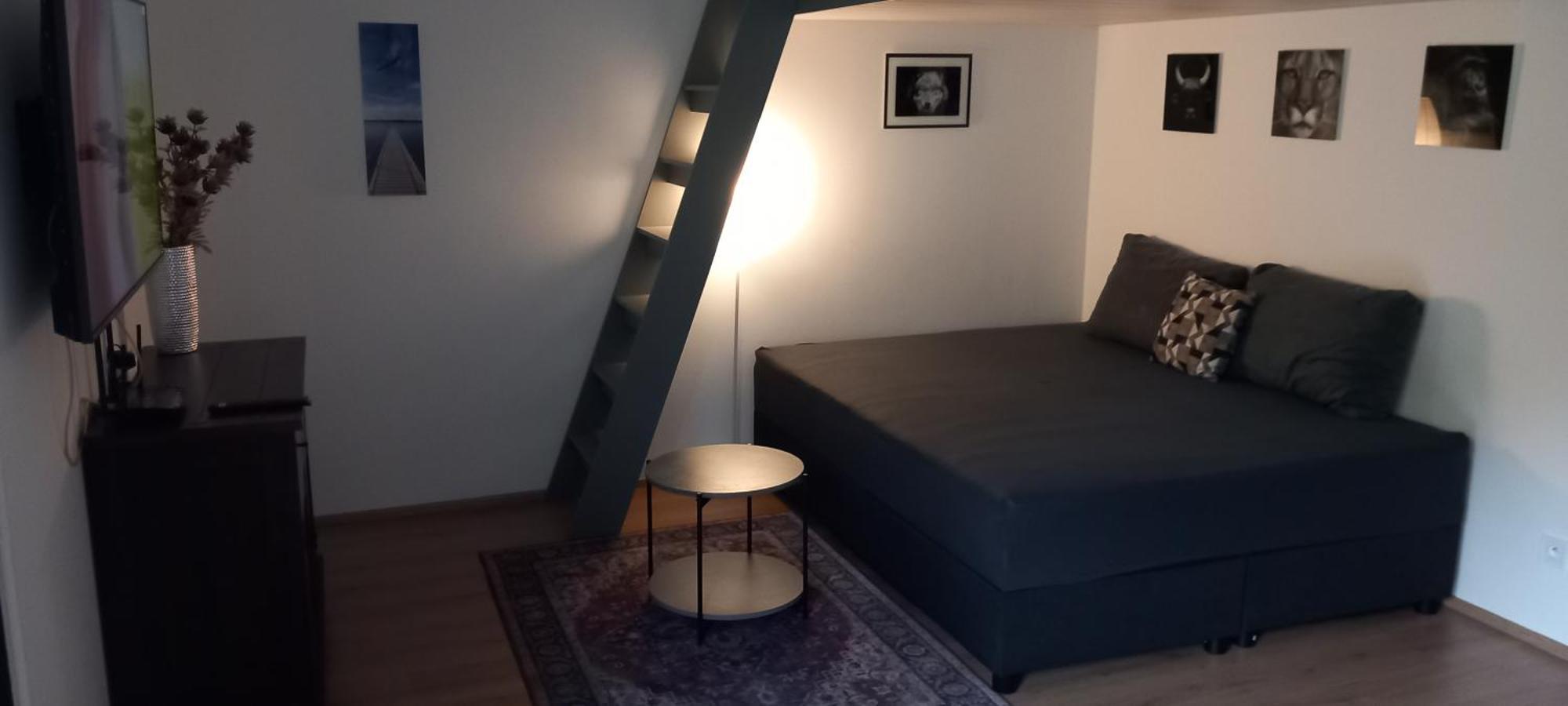 Apartman Kurt Mariánské Lázně المظهر الخارجي الصورة
